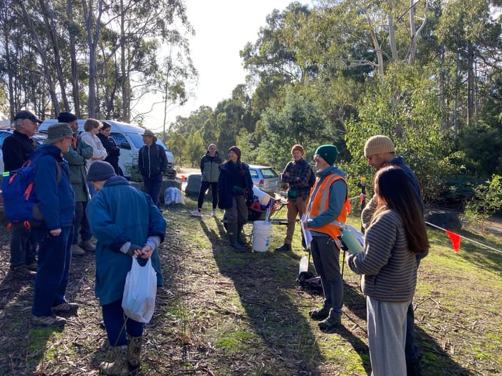 Huntingfield Landcare's First Working Bee